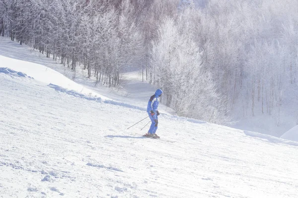 Homem Esquiar Declive Homem Roupas Quentes Posando Enquanto Esquiava Esportes — Fotografia de Stock