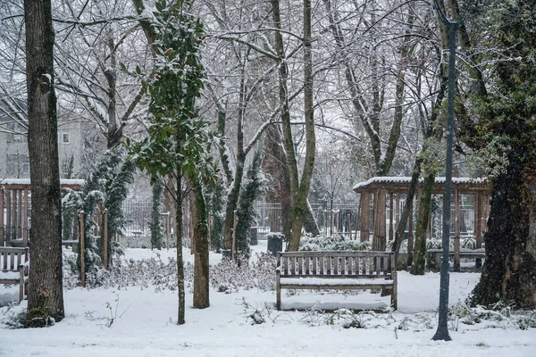 雪の日のロマンチックな公園の景色 公園や屋外で雪景色 公園内の雪に覆われたベンチと街路灯 — ストック写真