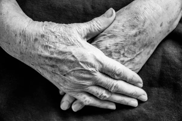 Hands Old Person Close Wrinkled Hands Old Woman Black White Stock Image