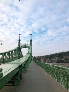 Budapeşte, Macaristan - 21 Aralık 2021: Budapeşte 'deki Özgürlük Köprüsü, Dikey Fotoğraf