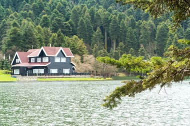 Bolu Golcuk Tabiat Parki. Bolu Ulusal Parkı. Türkiye 'nin tarihi yerleri ya da turistik yerleri. Göl kenarındaki ahşap yeşil eve odaklanın.. 