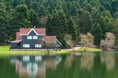 Bolu Golcuk Tabiat Parki. Bolu Ulusal Parkı. Türkiye 'nin tarihi yerleri ya da turistik yerleri. Göl kenarındaki ahşap yeşil eve odaklanın.. 