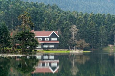 Bolu Golcuk Tabiat Parki. Bolu Ulusal Parkı. Türkiye 'nin tarihi yerleri ya da turistik yerleri. Göl kenarındaki ahşap yeşil eve odaklanın.. 