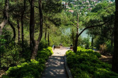 İstanbul 'da Atatürk Kent Ormani. Atatürk Şehir Ormanı. İstanbul 'da yeşil alanlar. Şehirdeki yeşil parklar ya da eğlence alanları. Seçici odak dahil