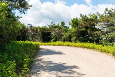 İstanbul 'da Atatürk Kent Ormani. Atatürk Şehir Ormanı. İstanbul 'da yeşil alanlar. Şehirdeki yeşil parklar ya da eğlence alanları. Seçici odak dahil