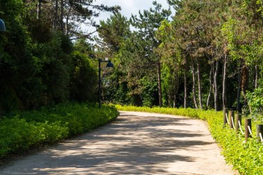 İstanbul 'da Atatürk Kent Ormani. Atatürk Şehir Ormanı. İstanbul 'da yeşil alanlar. Şehirdeki yeşil parklar ya da eğlence alanları. Seçici odak dahil