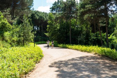 İstanbul 'da Atatürk Kent Ormani. Atatürk Şehir Ormanı. İstanbul 'da yeşil alanlar. Şehirdeki yeşil parklar ya da eğlence alanları. Seçici odak dahil