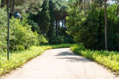 İstanbul 'da Atatürk Kent Ormani. Atatürk Şehir Ormanı. İstanbul 'da yeşil alanlar. Şehirdeki yeşil parklar ya da eğlence alanları. Seçici odak dahil
