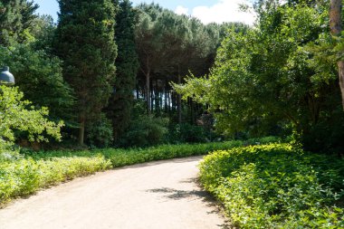 İstanbul 'da Atatürk Kent Ormani. Atatürk Şehir Ormanı. İstanbul 'da yeşil alanlar. Şehirdeki yeşil parklar ya da eğlence alanları. Seçici odak dahil