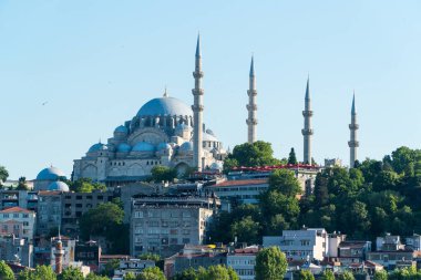 Süleyman Camii. Haliç 'ten güzel kompozisyon manzaralı Süleyman Camii. İstanbul 'un en büyük camii. Seçici odak dahil