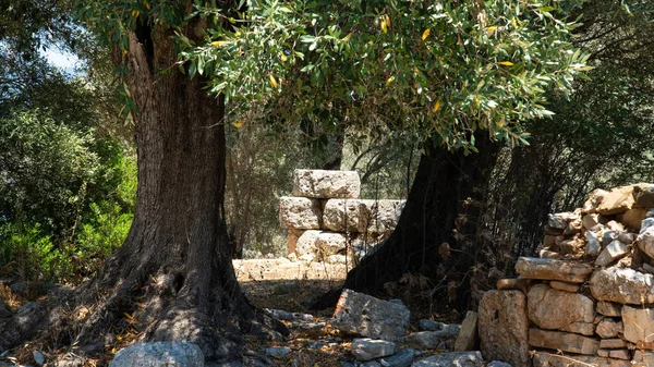 Ancient City Kedrai Sedir Island Turkey Ancient Ruins Sedir Island — Foto de Stock