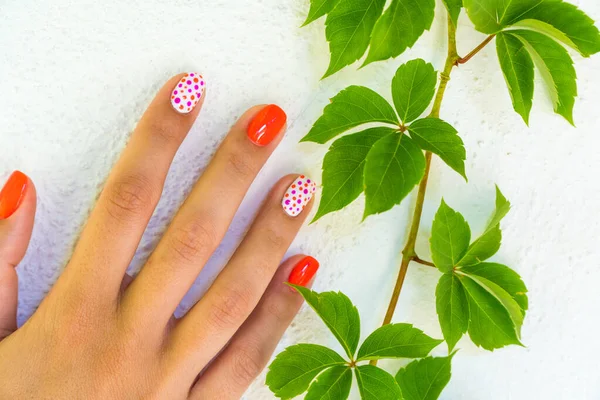 Nail Art Concept Nature Concept Background — Stock Photo, Image