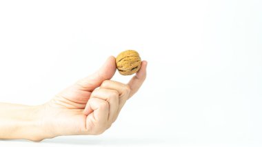 Beyaz arka planda izole edilmiş bir cevizi tutan el. Ceviz kavramı arka planı