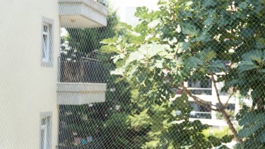 Balkonda kedi güvenlik ağı var. Kediler için balkon ağı