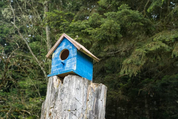 Casa Pássaros Floresta Casa Pássaro Azul Madeira Parque — Fotografia de Stock