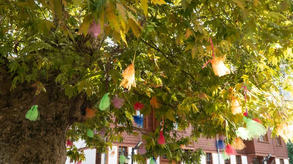 Дерево Желаний Разноцветными Лентами Желающее Дерево Суеверных Верит Посылаю Положительную — стоковое фото