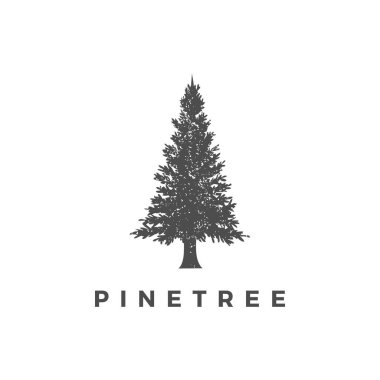 Pine tree design logo vector, Evergreen logo design vector illustration.