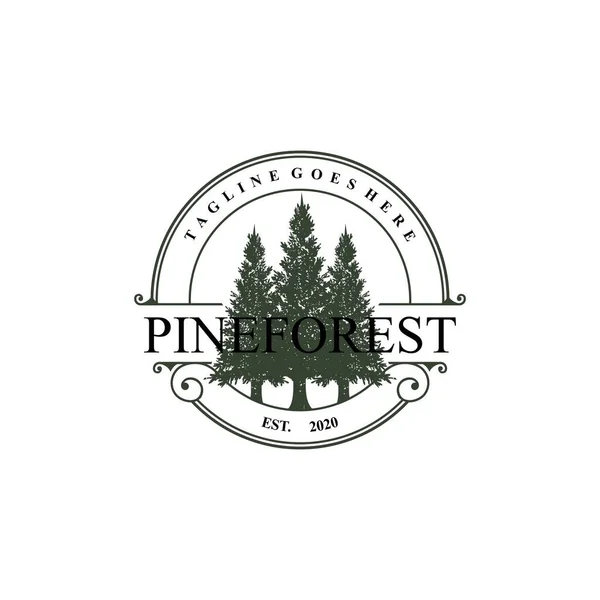 Pine Forest Logosu Vektör Çizimi Açık Hava Macerası Çam Ağaçları — Stok Vektör