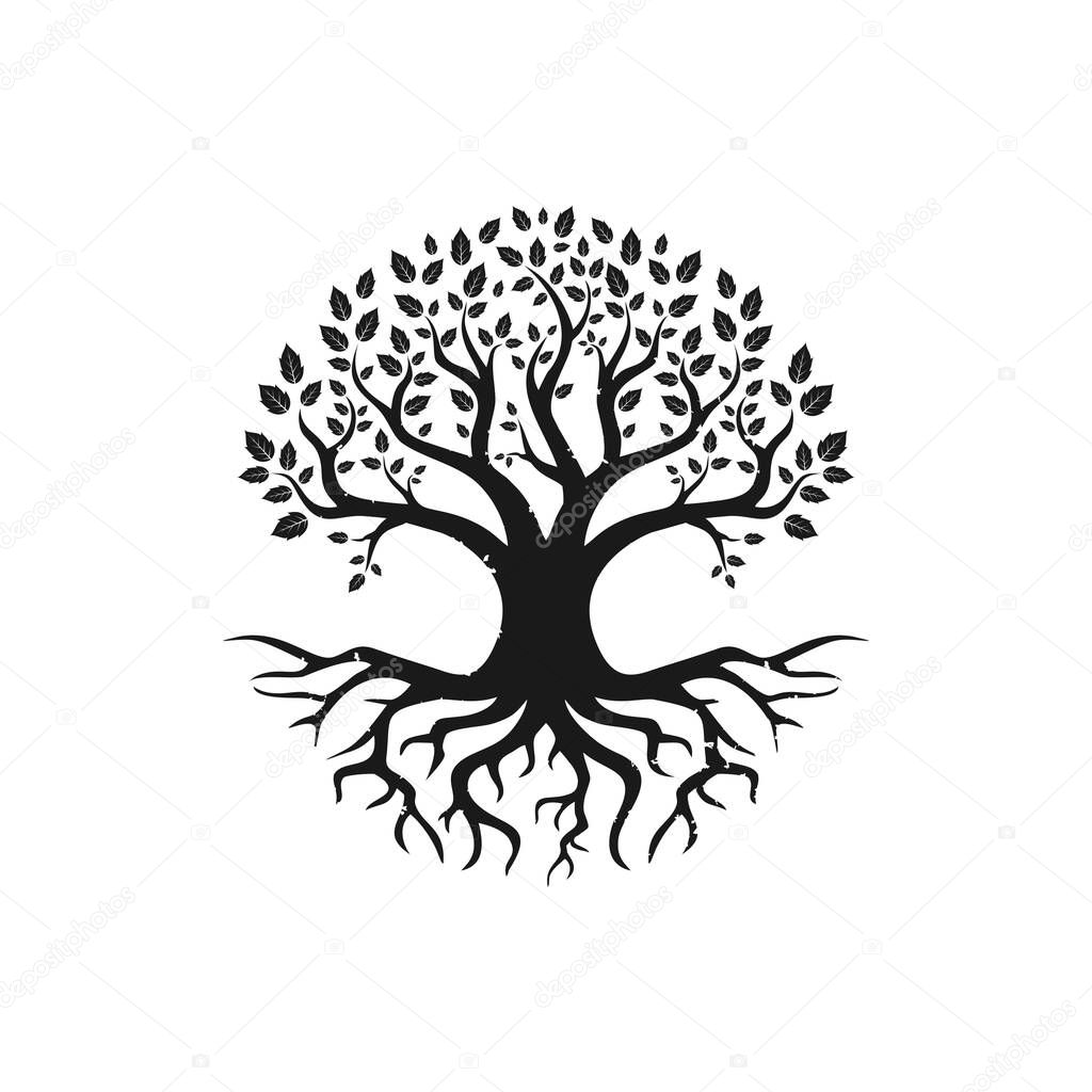 Vector black tree of live icon, logo design inspiration isolated on white background