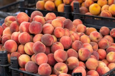 Marketin tezgahındaki olgun, taze, taze pembe şeftalilerin yakın çekim görüntüsü.