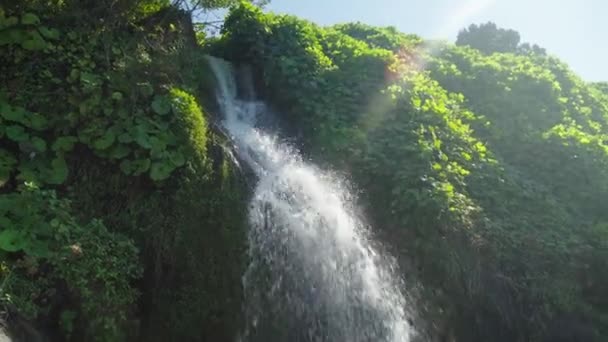 Nature rivière cascade forêt soleil matin magique — Video