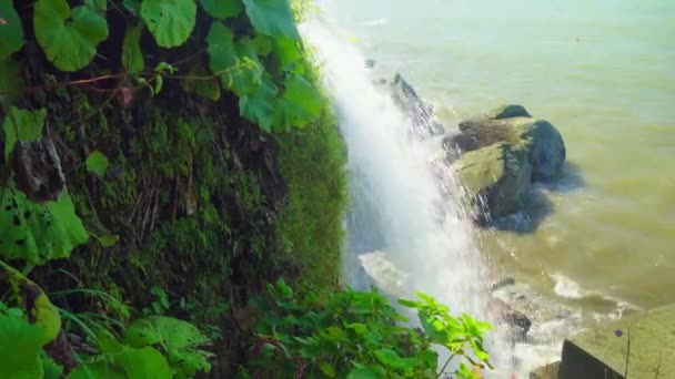 Nature rivière cascade forêt soleil matin magique — Video