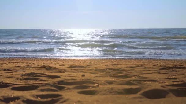 Um jovem, um homem caminhando nas ondas na praia. — Vídeo de Stock