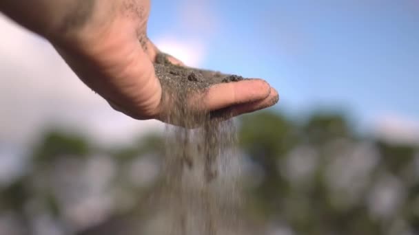 Крупним планом рука хапає жменьку сухого піску і дозволяє йому впасти між пальцями — стокове відео