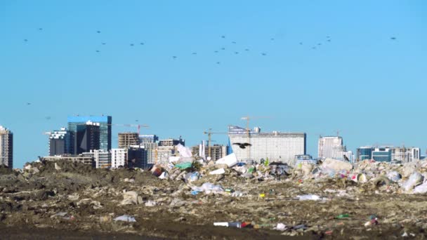 Depósito de lixo. Arranha-céus, canteiro de obras com guindaste e casas de cidade grande — Vídeo de Stock