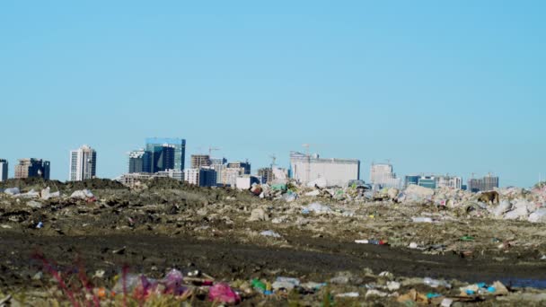 쓰레기 더미. 마천루, 기중기가 있는 건설 현장, 대도시의 가옥 들 — 비디오