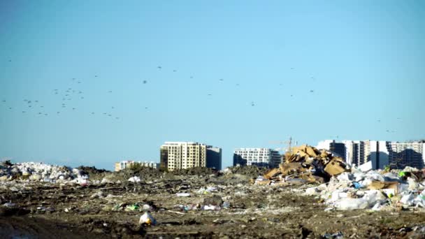 Vuilnisbelt. Wolkenkrabbers, bouwplaats met kraan en huizen van grote stad — Stockvideo