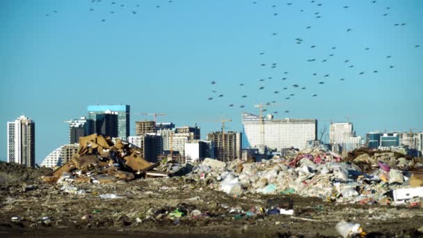 Depósito de lixo. Arranha-céus, canteiro de obras com guindaste e casas de cidade grande — Vídeo de Stock