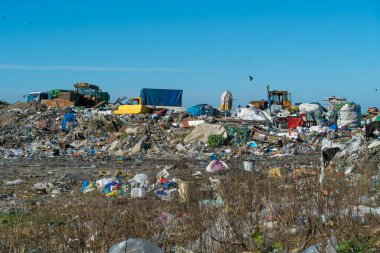 Buldozerli bir şehir çöplüğü, güneşli bir günde bir kamyon. Ekoloji kavramı