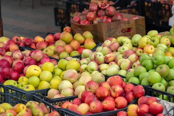 Різні Сорти Яблук Ринку Натуральна Якість Фруктів Продажу — стокове фото