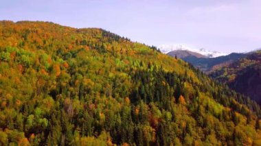 Sonbaharda, sonbaharda, günbatımında, renkli sonbaharda, dağların üzerinden destansı bir hava aracı uçuşu.