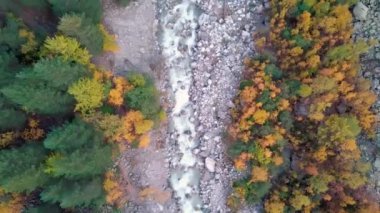 Dağ nehri, kayalar ve kuş bakışı akıntılar. İHA 'dan ateş ediliyor