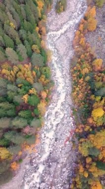 Dağ nehri, kayalar ve kuş bakışı akıntılar. İHA 'dan ateş ediliyor