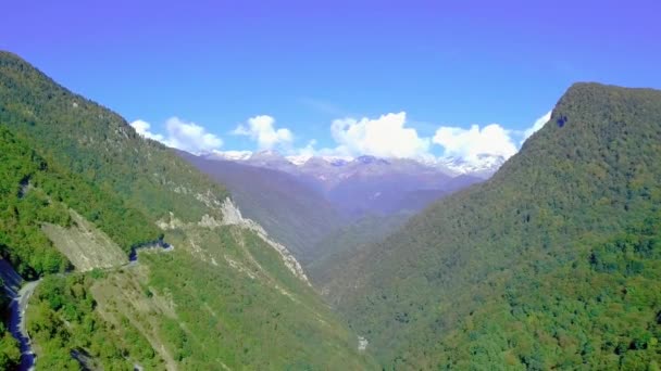 Літаючи на Дроні над осінніми горами зі змійною гірською дорогою та лісом . — стокове відео