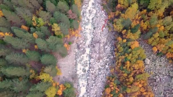 Fiume di montagna con rocce e rapide dalla vista a volo d'uccello. Sparatoria da drone — Video Stock