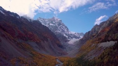 Kuadkopter dağlarda büyüyen uzun bir ağaca çarptı. .