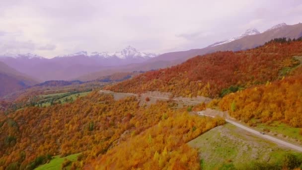 Voler sur Drone au-dessus des montagnes d'automne avec route de montagne serpentine et forêt. — Video