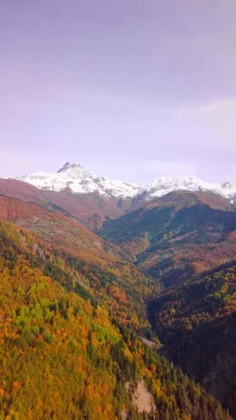 Epische Drohnenflüge über den Bergen im Herbst, Sonnenuntergang, farbenfroher Herbst — Stockvideo