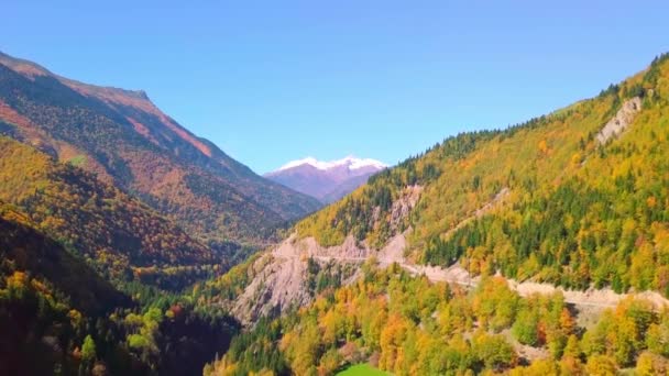 Літаючи на Дроні над осінніми горами зі змійною гірською дорогою та лісом . — стокове відео