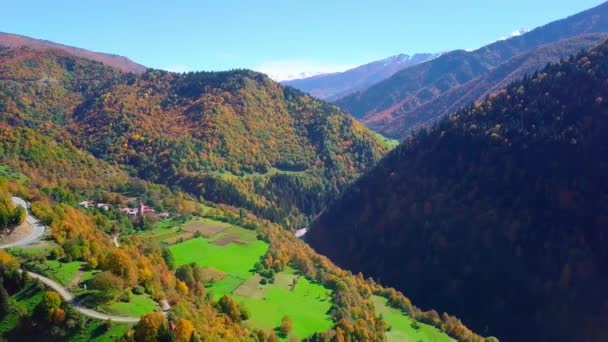 Veduta a volo d'uccello di un drone su un fiume di montagna con una strada tortuosa — Video Stock