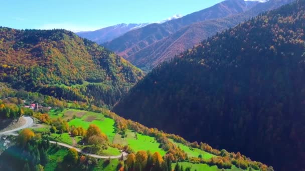 Voler sur Drone au-dessus des montagnes d'automne avec route de montagne serpentine et forêt. — Video