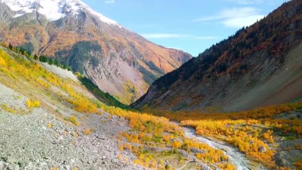 Dron vuela sobre el río entre montañas en otoño, en la distancia Glaciar Chalaadi — Vídeo de stock