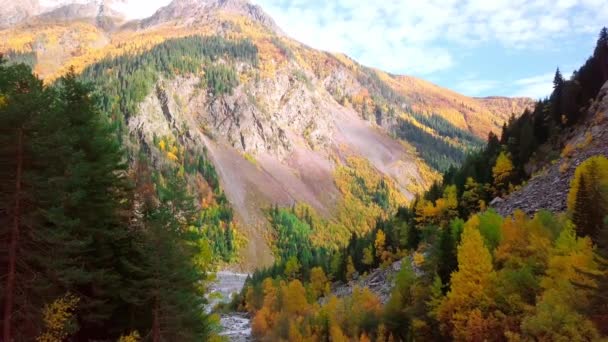 Tirant depuis un drone, il survole une rivière de montagne avec des rapides en automne. — Video