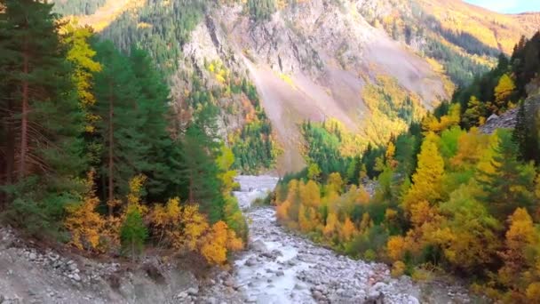 Drónról tüzelve, ősszel zuhogva repül át a hegyi folyón.. — Stock videók
