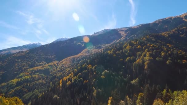 Kamerový pohyb, panorama, podzimní lesní horské údolí se sluncem — Stock video