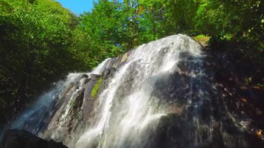 Vahşi ormanda muhteşem bir şelale. Tatlı suyla harika şelaleler,